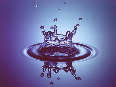 splash-1[1].jpg